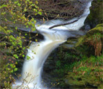 base of the highest waterfall in Wales